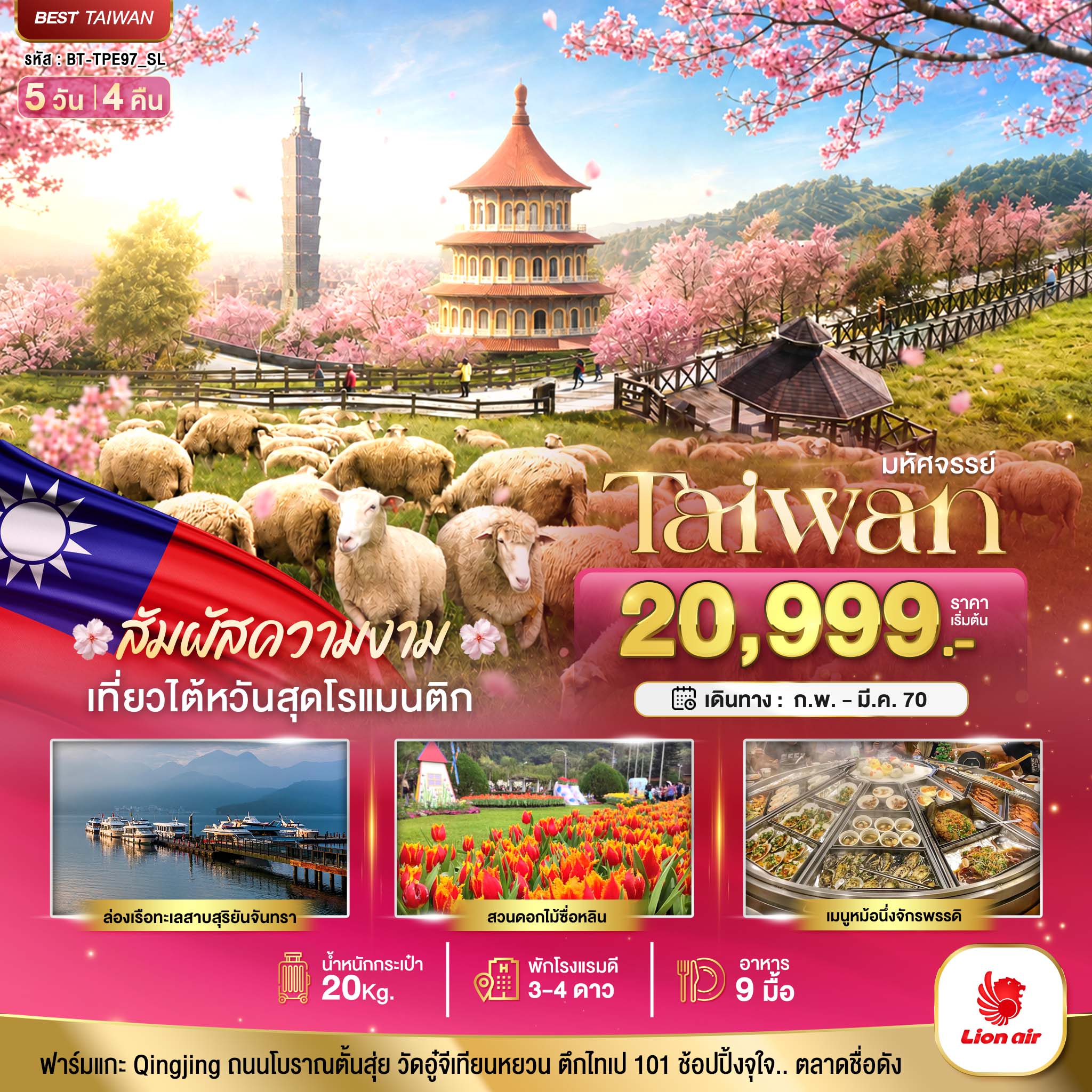 มหัศจรรย์ TAIWAN ฟาร์มแกะชิงจิ้ง สัมผัสความงามของดอกซากุระ 